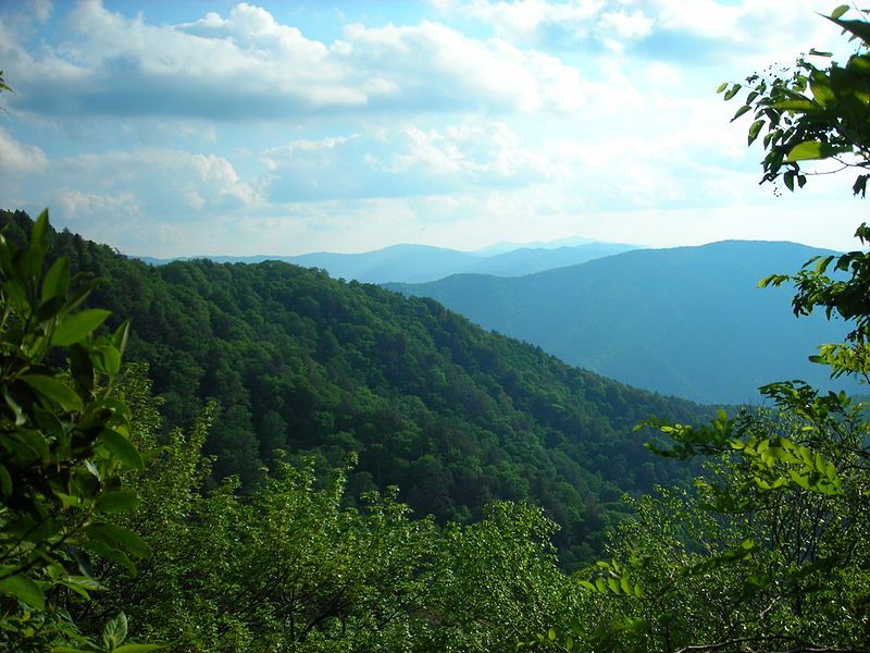 File:Bullhead Trail Overlook.JPG