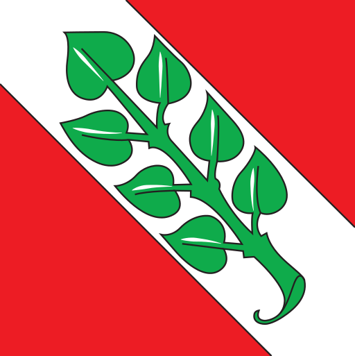 File:CHE Rossa Flag.svg