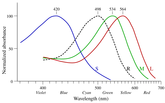 File:Cone-absorbance-en.svg