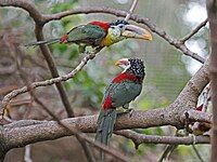 At San Diego Zoo