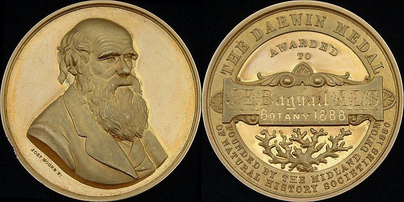 File:Darwin medal Bagnall.jpg