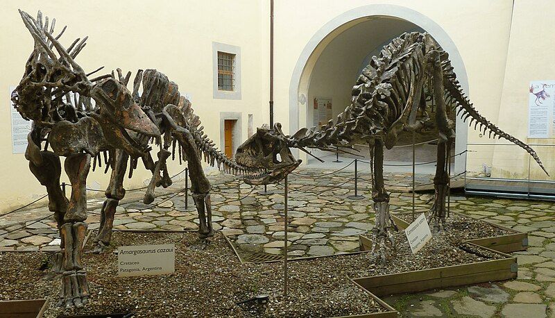 File:DinosaursCalci.JPG