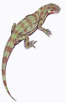 Life restoration of Galechirus