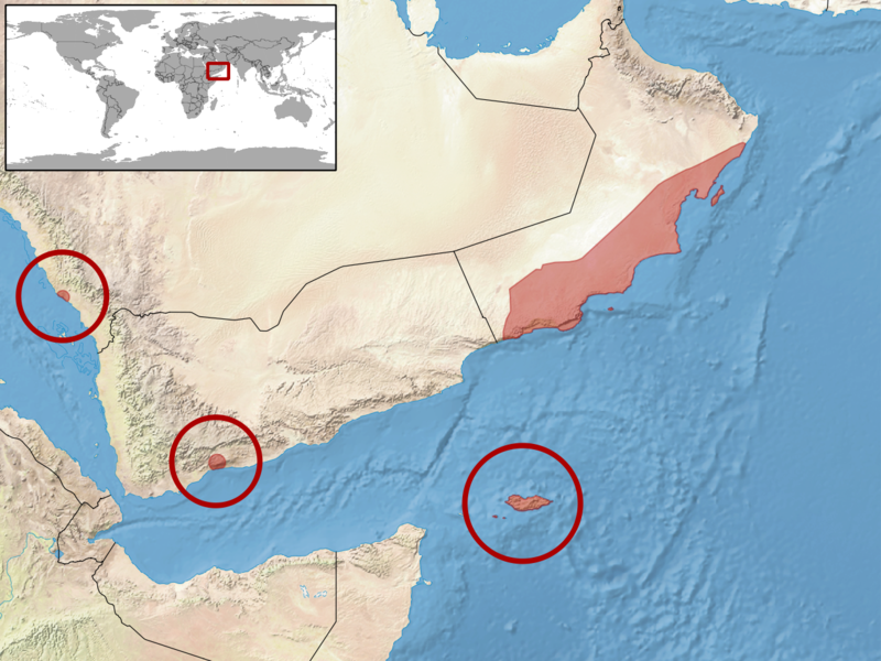 File:Hemidactylus homoeolepis distribution.png