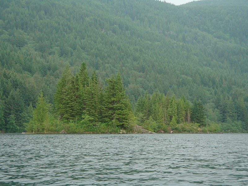 File:Hicks Lake Islands.jpg