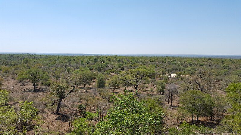 File:KNP Landscape.jpg