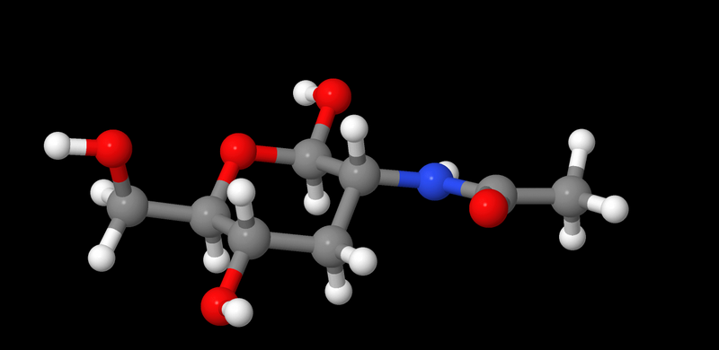 File:N-Acetylglucosamine.png