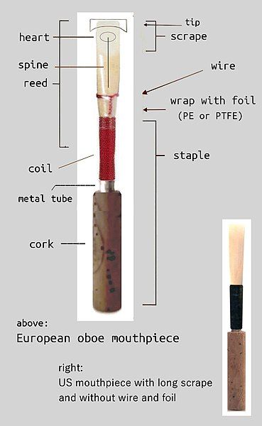 File:Oboe reeds.jpg