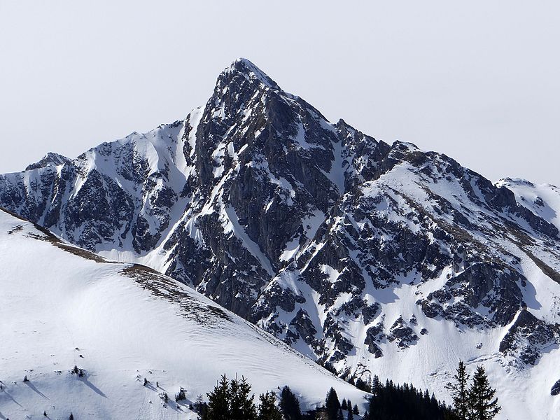 File:Ochsen im Winter.JPG