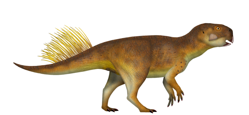 File:Psittacosaurus UDL.png