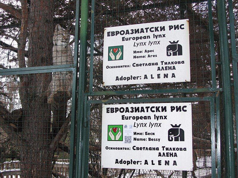 File:QRpedia-code-Sofia-Zoo-2.JPG