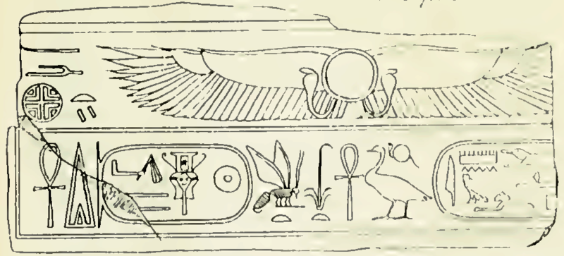 File:Sekhemrekhutawy Sobekhotep.png