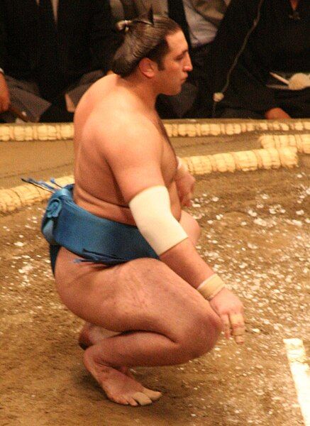 File:Sumo May09 Tochinoshin.jpg