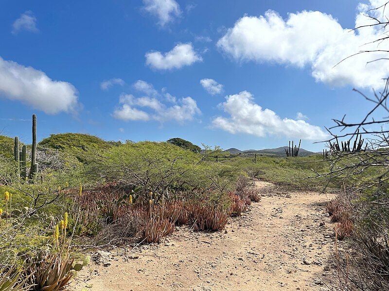 File:Trail Spaans Lagoen.jpeg