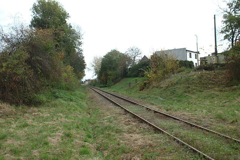 File:Wojnowice, opuštěná trať.jpg