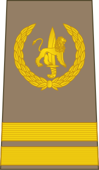 File:04-ROCongo Army-SGT.svg