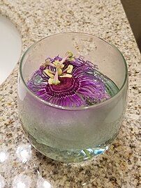 Passion flower bloom in water