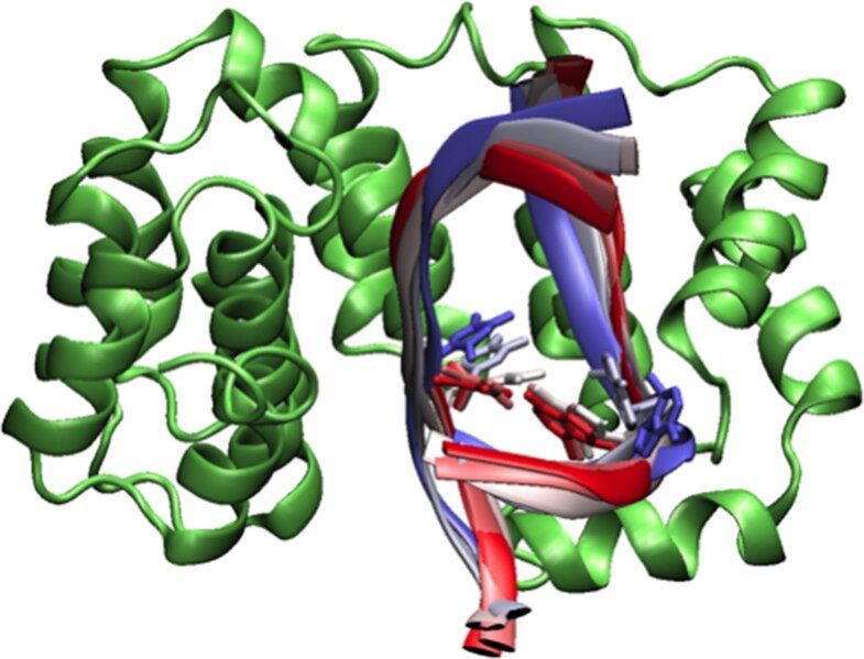 File:AlkD with DNA.tif