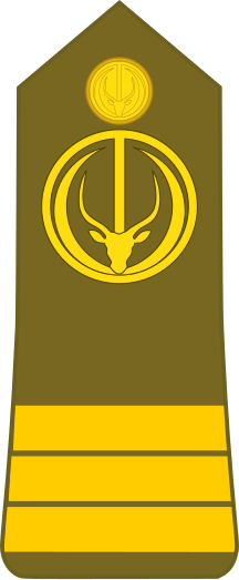 File:Chad-Army-OF-2.svg