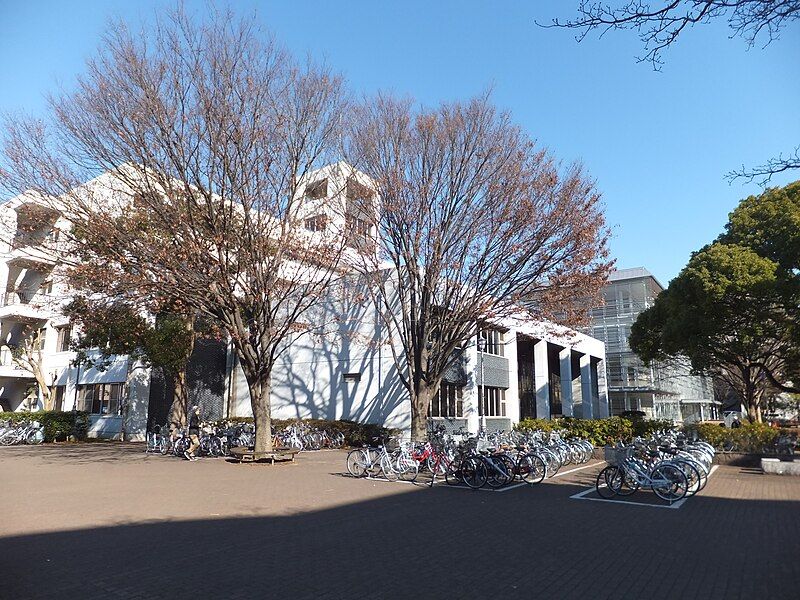 File:Chiba University Library.jpg