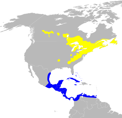 File:Dendroica virens map.svg