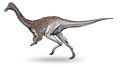 Ornithomimiforms