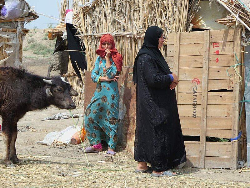 File:Marsh Arabs (30935589262).jpg