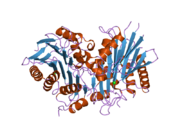 2a8m: Crystal Structure of Human Taspase1 (T234S mutant)