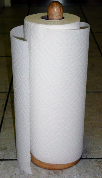 File:Paper towel.png