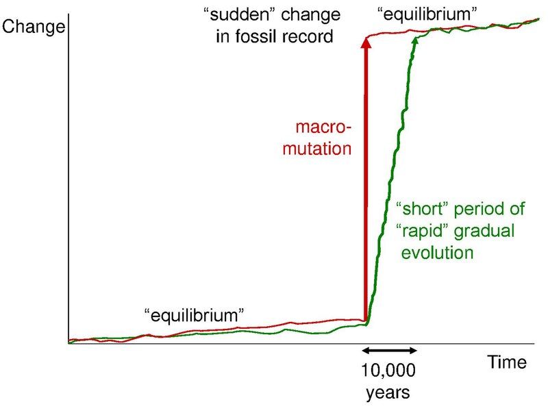 File:Punctuated Equilibrium.pdf