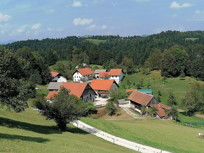 File:Rovtarske Žibrše 01.jpg