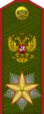 Marshal of the Russian Federation