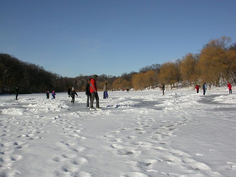 File:SkatingInHighParkTorontoCanada.JPG