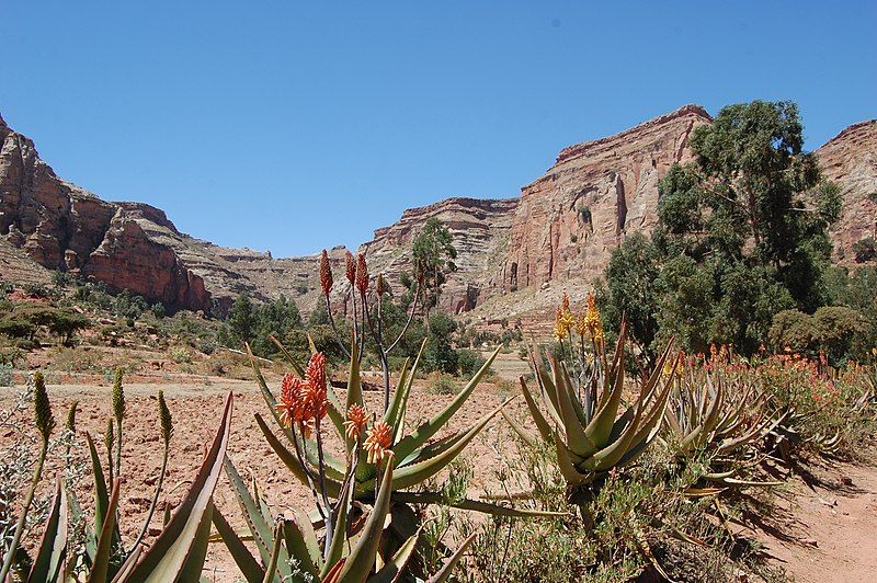 File:TESFA trek (5498477203).jpg