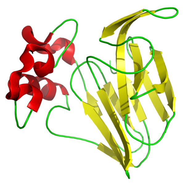 File:Thaumatin I 1RQW.png