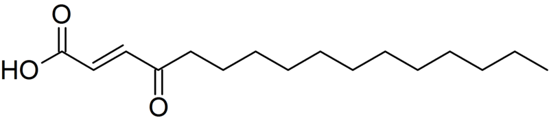 File:(E)-4-oxohexadec-2-enoic acid.png