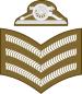 File:03.Malta Army-SGT.svg