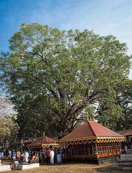 File:Andaloor temple.jpg