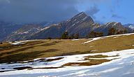 Bugyals (pastures) en route Tungnath from Chopta in evening light