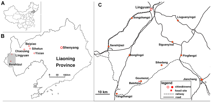 File:Chuanqilong locality.png