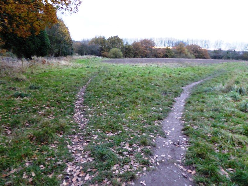 File:Coalville Meadows 1.jpg