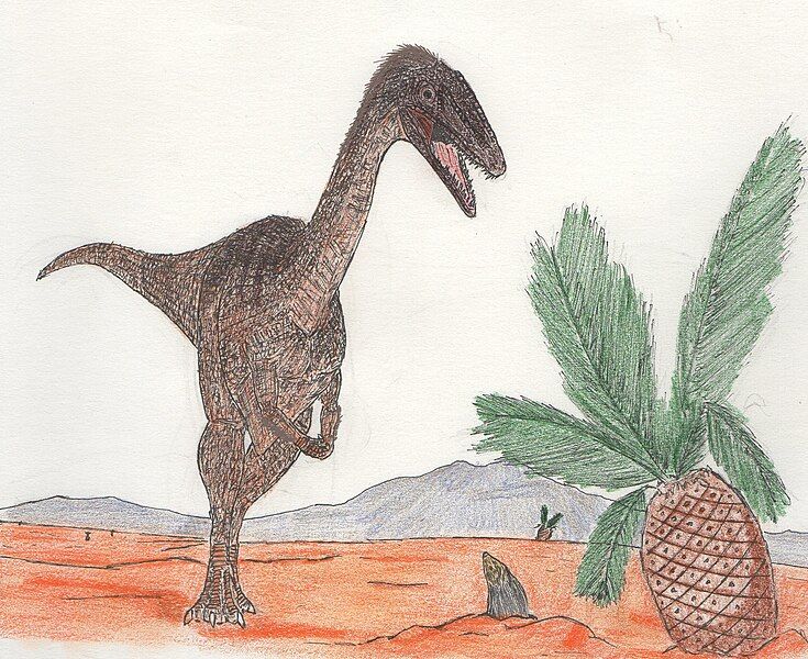 File:Coelophysis bauriNV.jpg