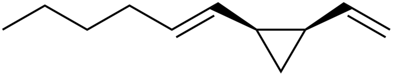 File:Dictyopterene C.png