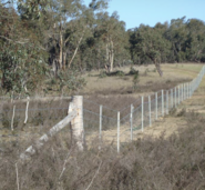 Fencing of riparian areas