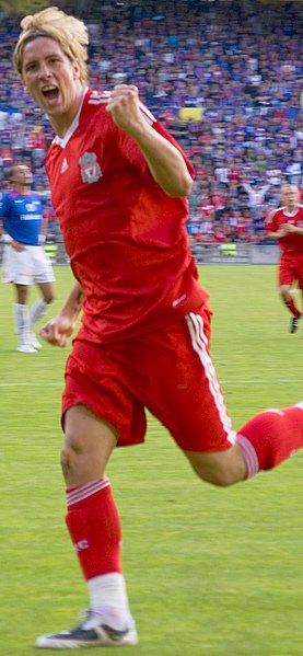 File:FernandoTorres.jpg