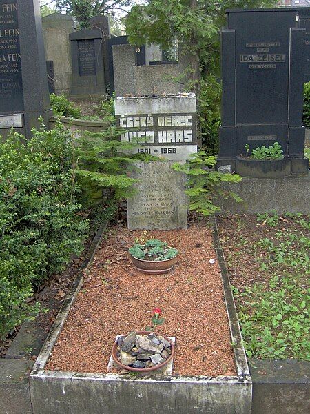 File:Hugo Haas grave.jpg