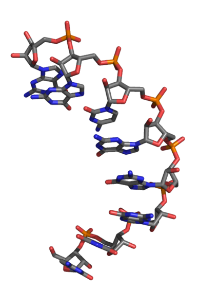 File:L-RNA3D.png