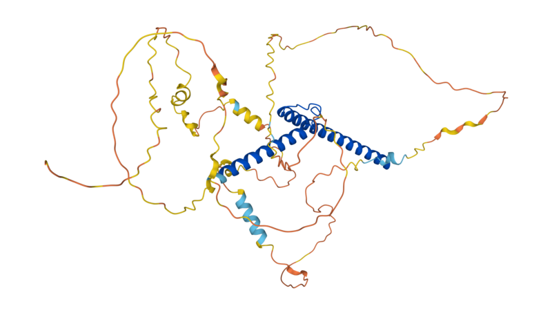 File:MYCN structure.png