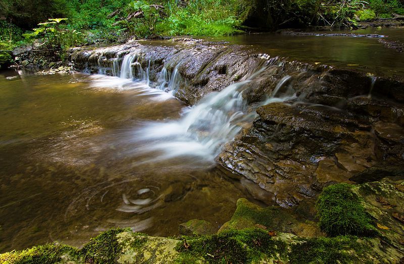 File:NSG Wutachschlucht 02.jpg