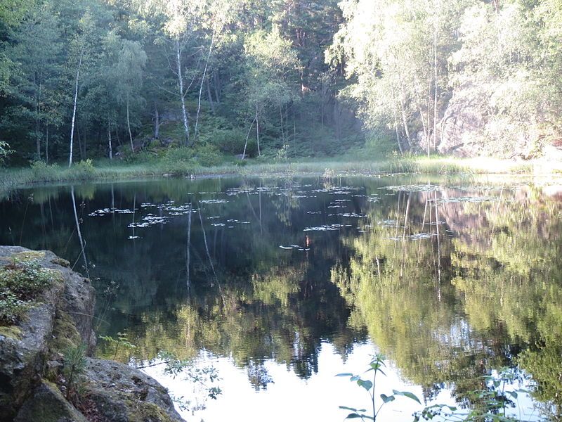 File:Odderøya tjernet.JPG